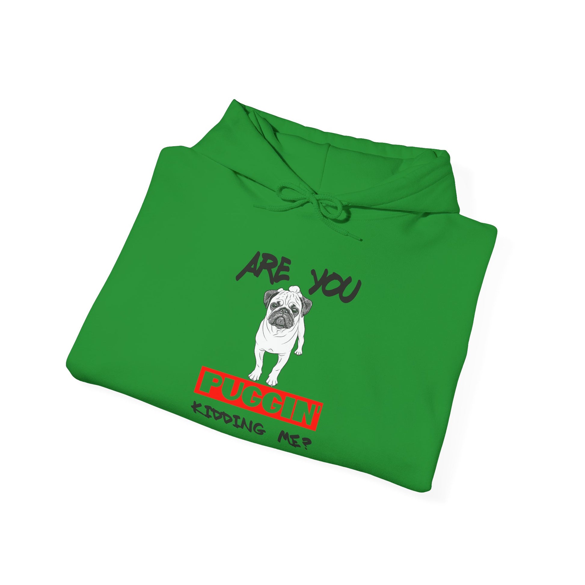 Funny Pug Hoodie, Are You Puggin' Kidding Me Sweatshirt, Pet Lover Gift, Cozy Unisex Hoodie, Dog-Themed Apparel, Punny Gift for Dog Lovers