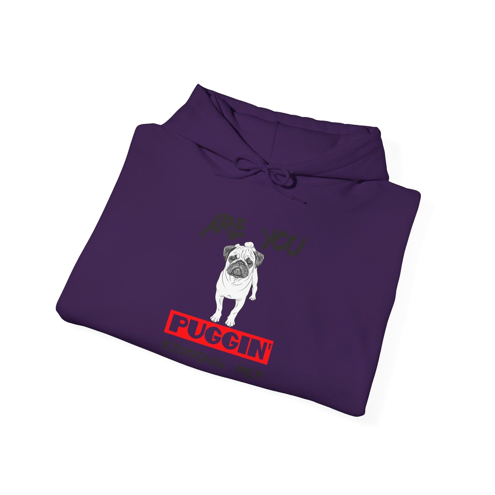 Funny Pug Hoodie, Are You Puggin' Kidding Me Sweatshirt, Pet Lover Gift, Cozy Unisex Hoodie, Dog-Themed Apparel, Punny Gift for Dog Lovers