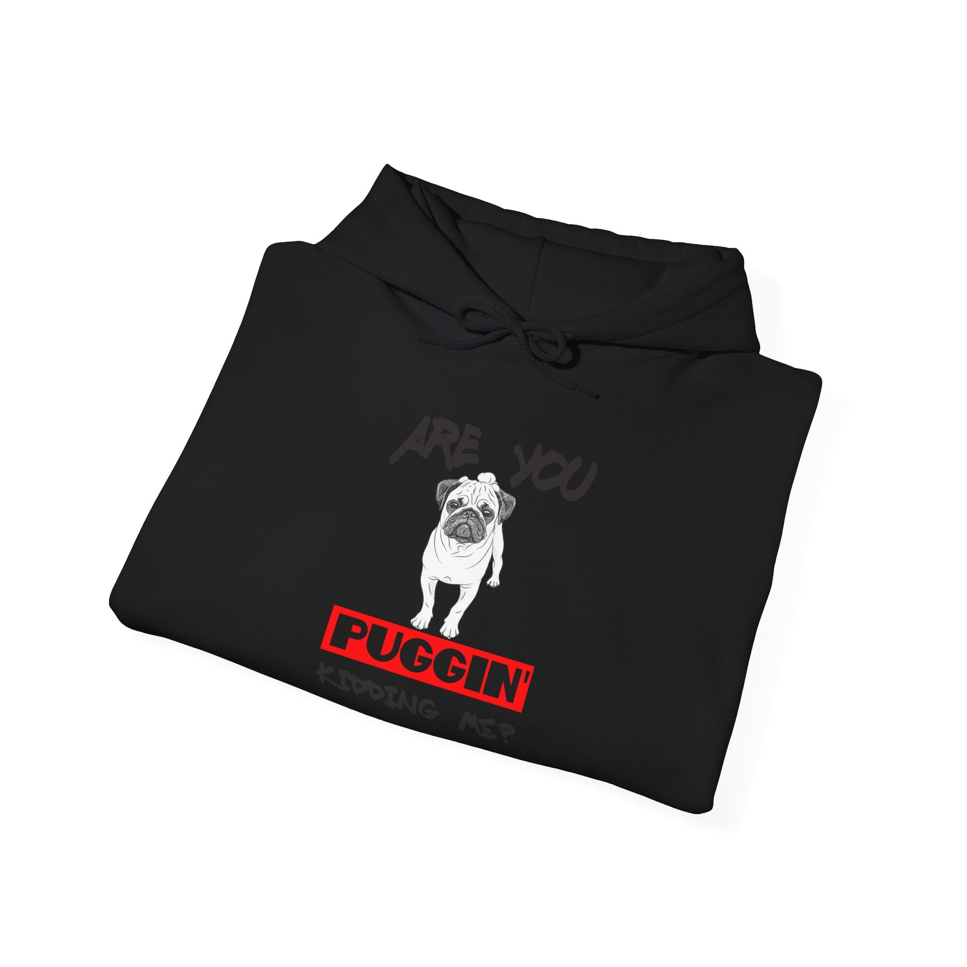 Funny Pug Hoodie, Are You Puggin' Kidding Me Sweatshirt, Pet Lover Gift, Cozy Unisex Hoodie, Dog-Themed Apparel, Punny Gift for Dog Lovers